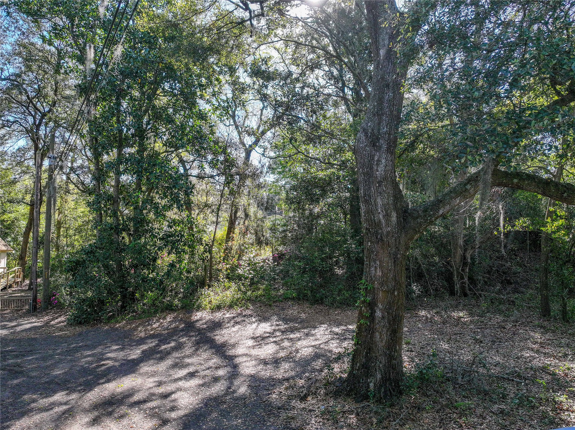 Sorensen Terrace Fernandina Beach, FL 32034 - Photo 4 of 17