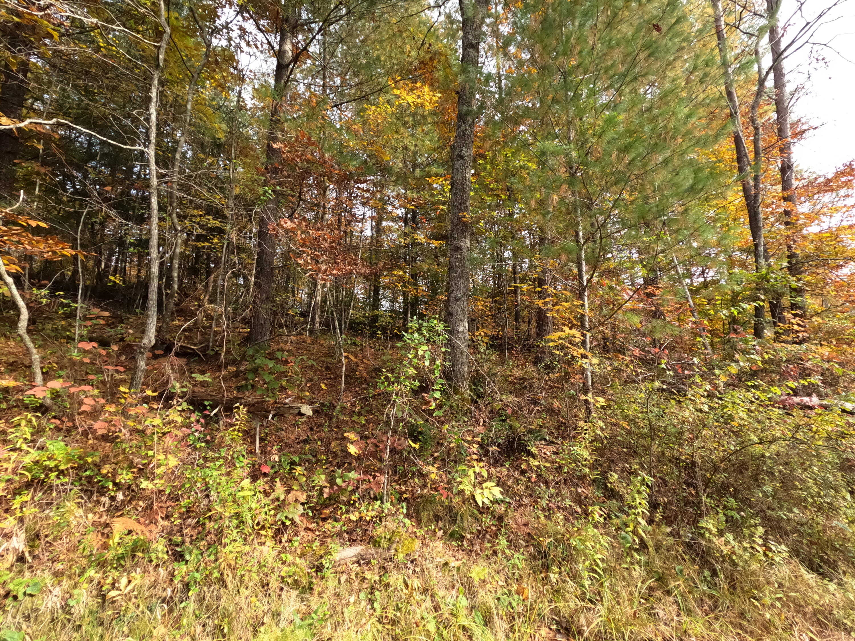 1 Ellen Drake Road Campton, KY 41301 - Photo 13 of 24 GOPR0192