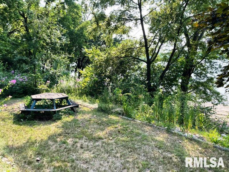 19660 Baldwin Beach Road Havana, IL 62644 - Photo 18 of 18 Gallery Image 18