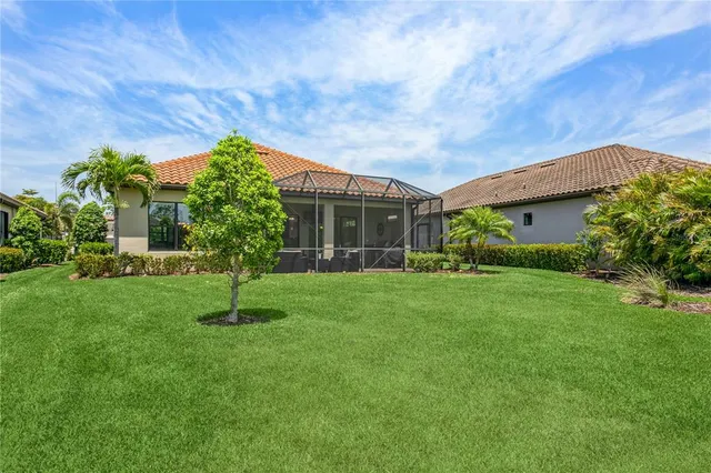 a view of a patio with a table chairs and a palm tree
