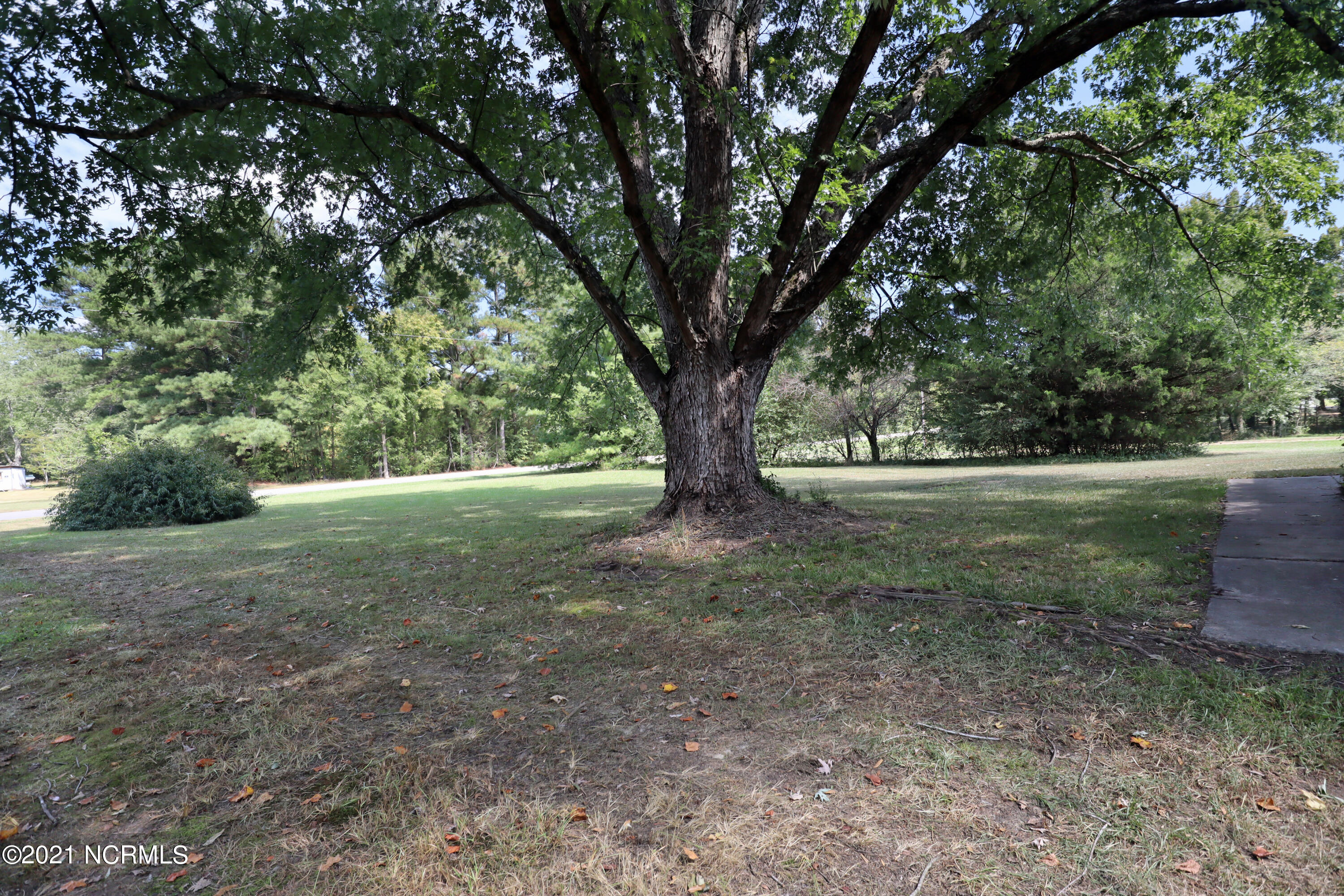 1635 Plank Road Robbins, NC 27325 - Photo 23 of 26 front yard