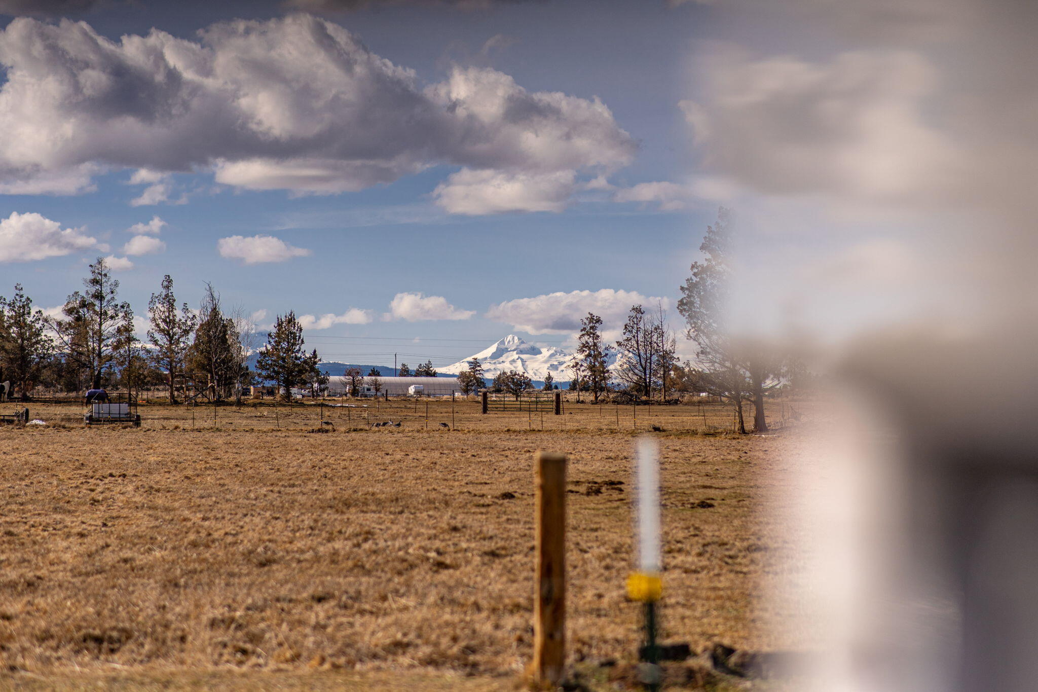 22750 Nelson Road Bend, OR 97701 - Photo 31 of 67 46-web-or-mls-Riley Visuals-2