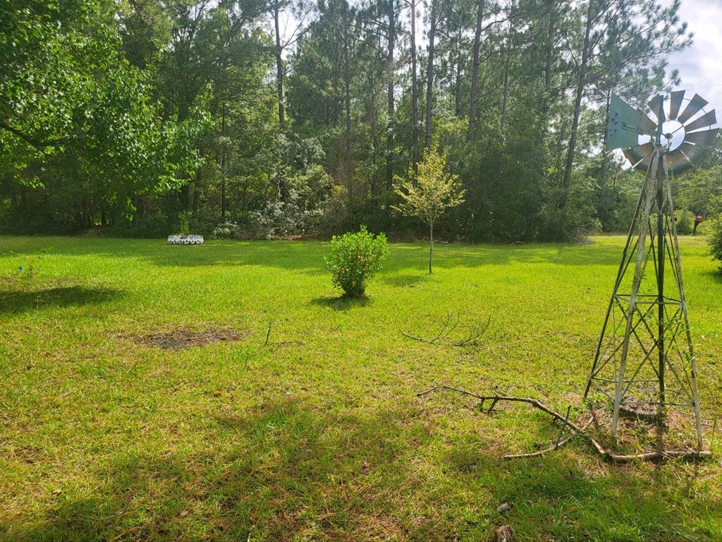 1210 Cherokee Rose Road Ray City, GA 31645 - Photo 5 of 17 Gallery Image 5