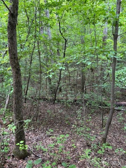 0 Timber Road Iron Station, NC 28080 - Photo 2 of 3