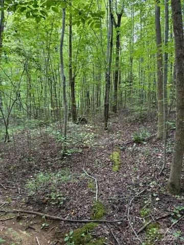 $80,000 | 0 Timber Road, Iron Station, NC 28080