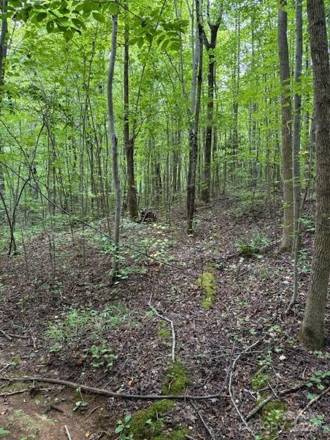 0 Timber Road Iron Station, NC 28080 - Photo 3 of 3
