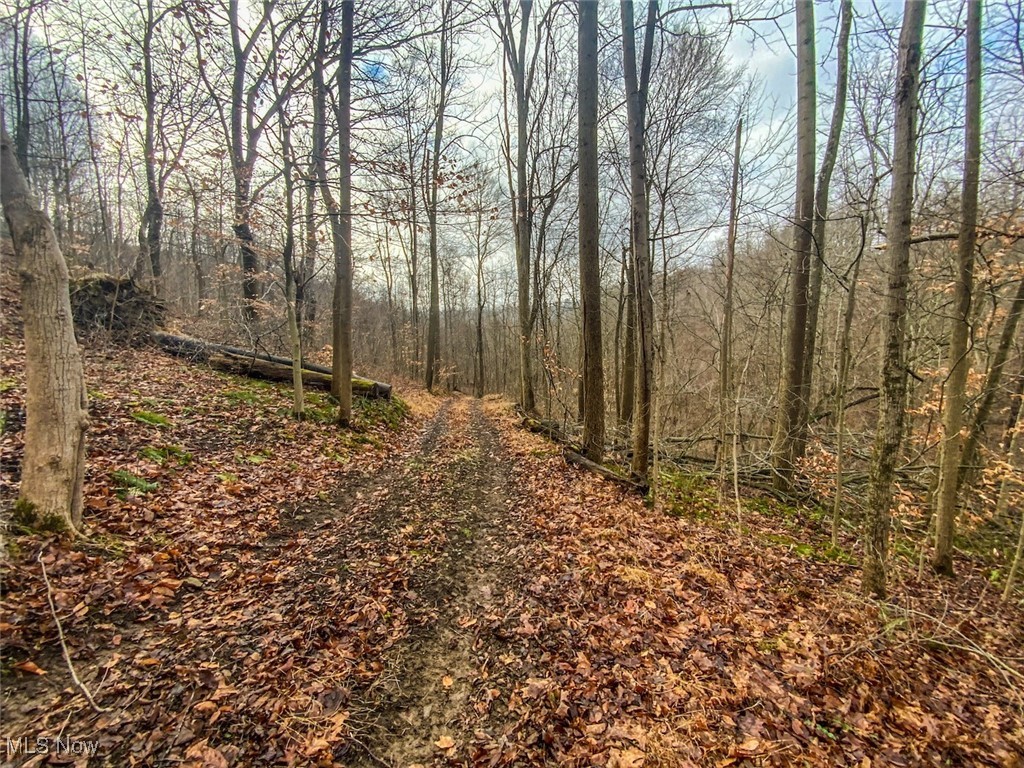 0 New Cut Road Shadyside, OH 43947 - Photo 5 of 37 View of street with a view of trees