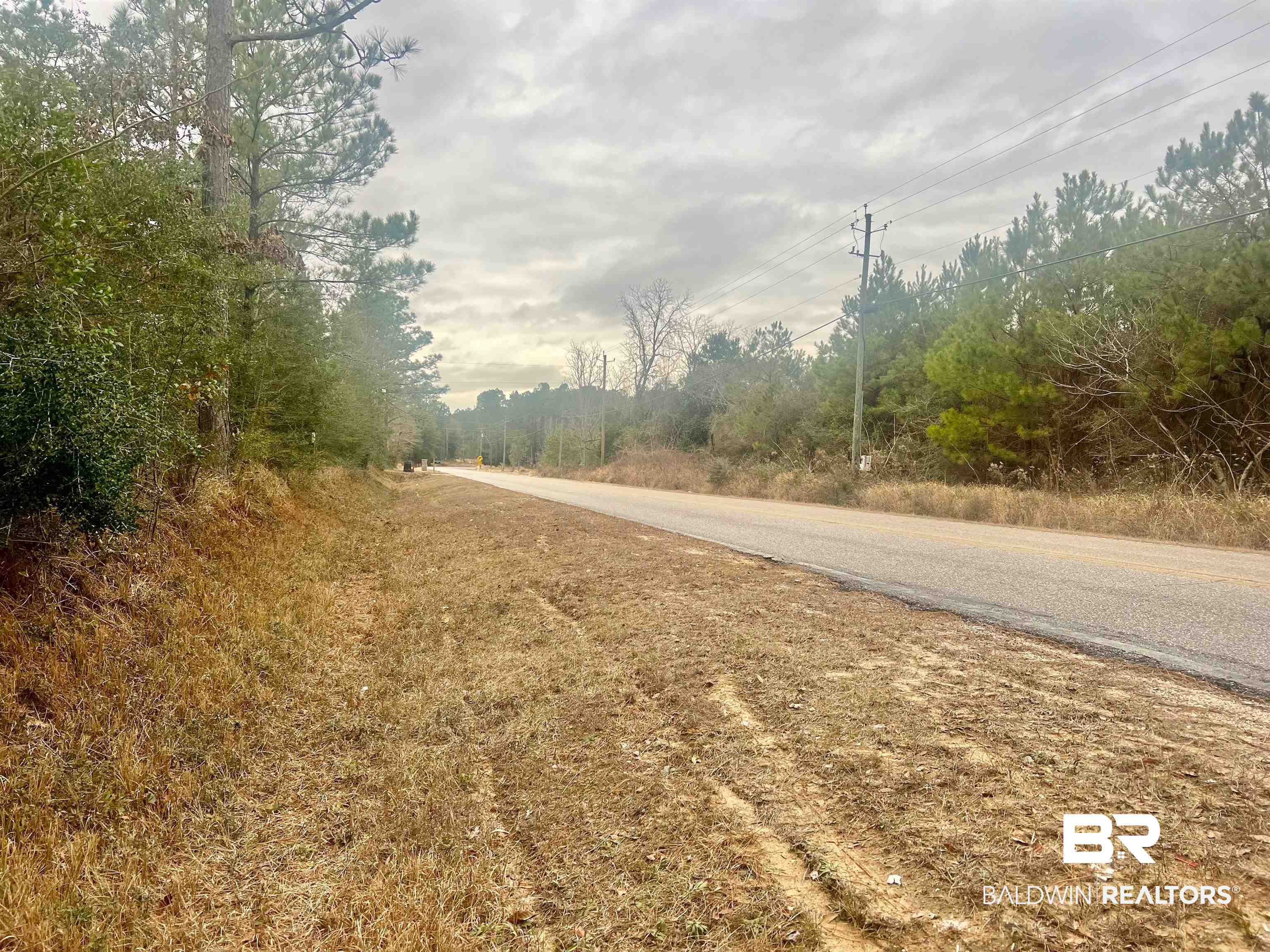 0 John Shinn Road Chunchula, AL 36521 - Photo 2 of 4