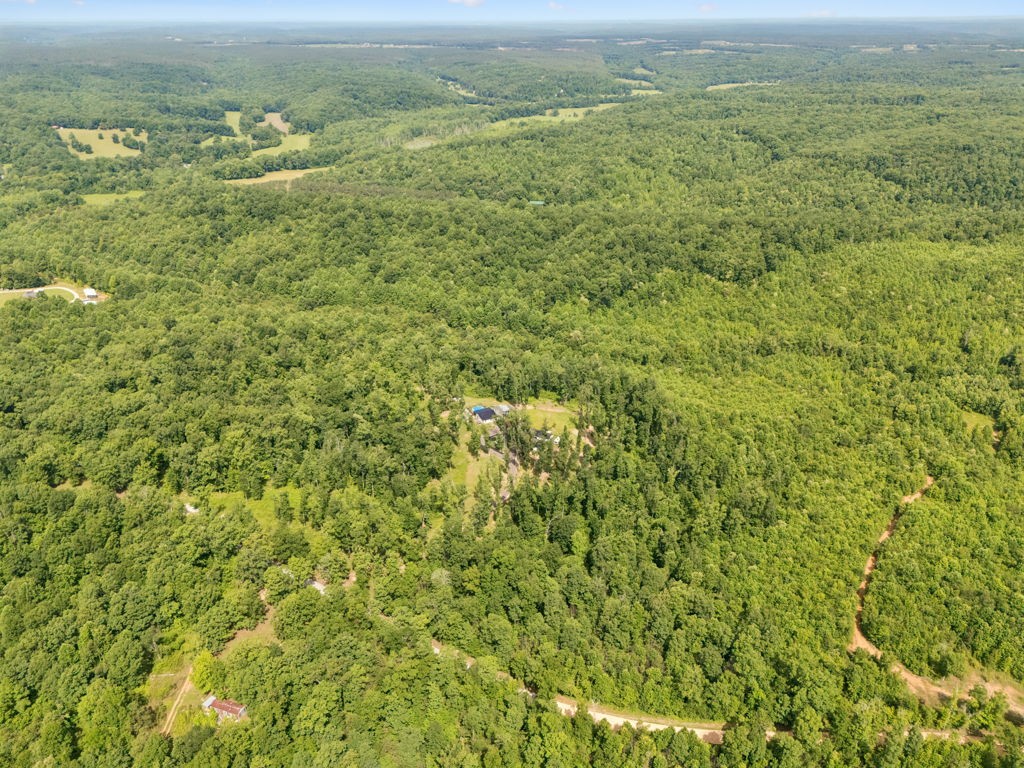 332 Southridge Road Hohenwald, TN 38462 - Photo 43 of 47
