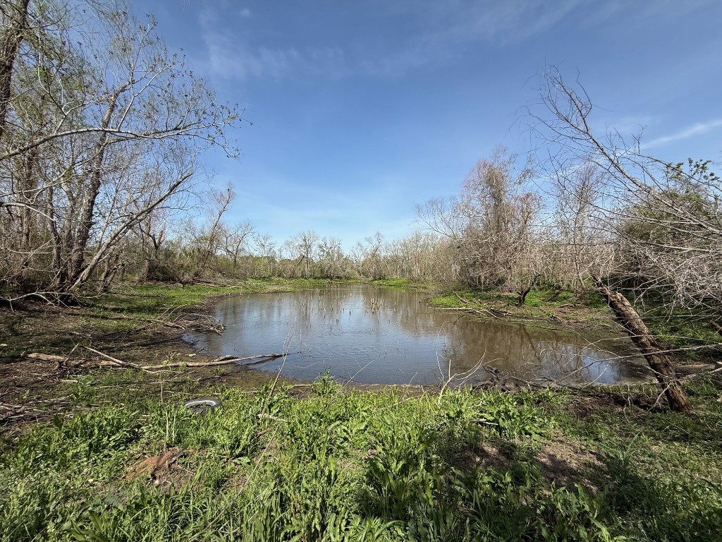 0 County Road 613 Angleton, TX 77515 - Photo 1 of 7 a view of a lake in between two large trees