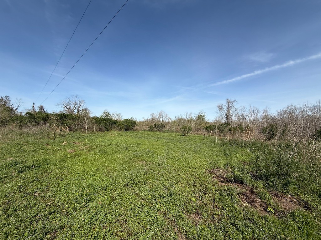 0 County Road 613 Angleton, TX 77515 - Photo 2 of 7 a view of a field with an ocean
