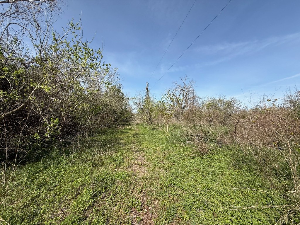 0 County Road 613 Angleton, TX 77515 - Photo 3 of 7 a view of a green field with lots of bushes