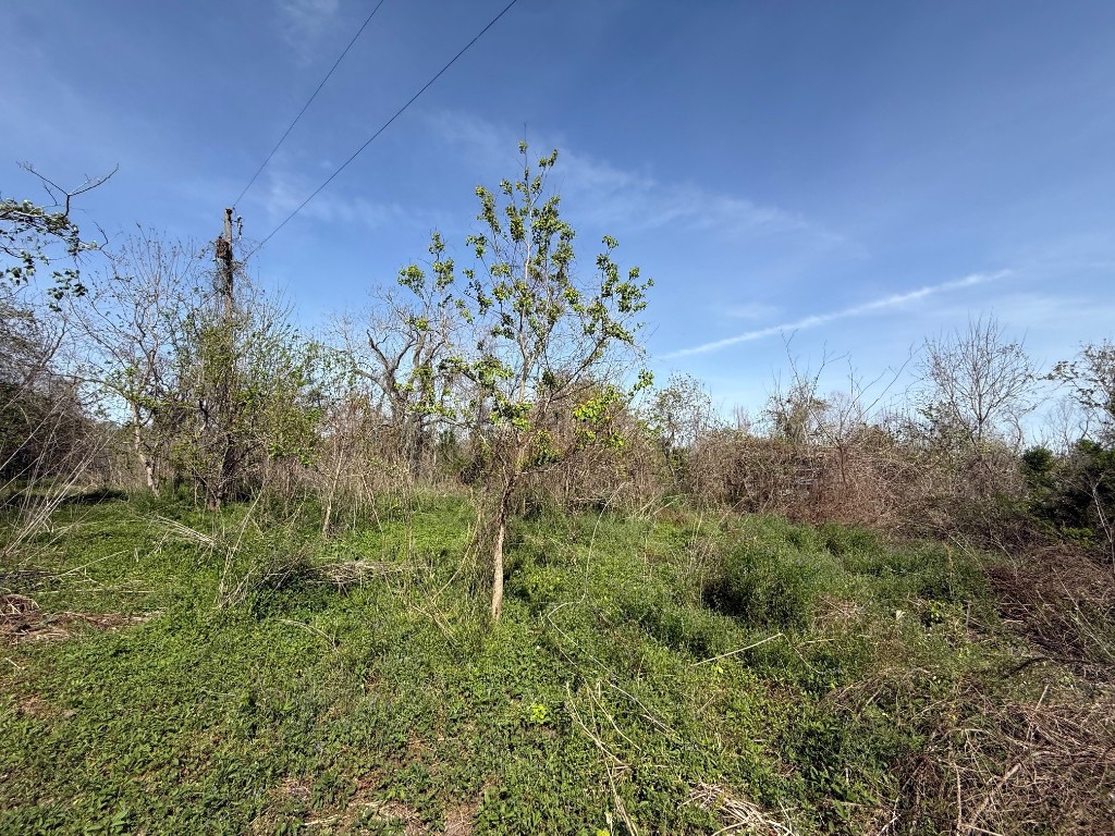 0 County Road 613 Angleton, TX 77515 - Photo 4 of 7 a view of a garden