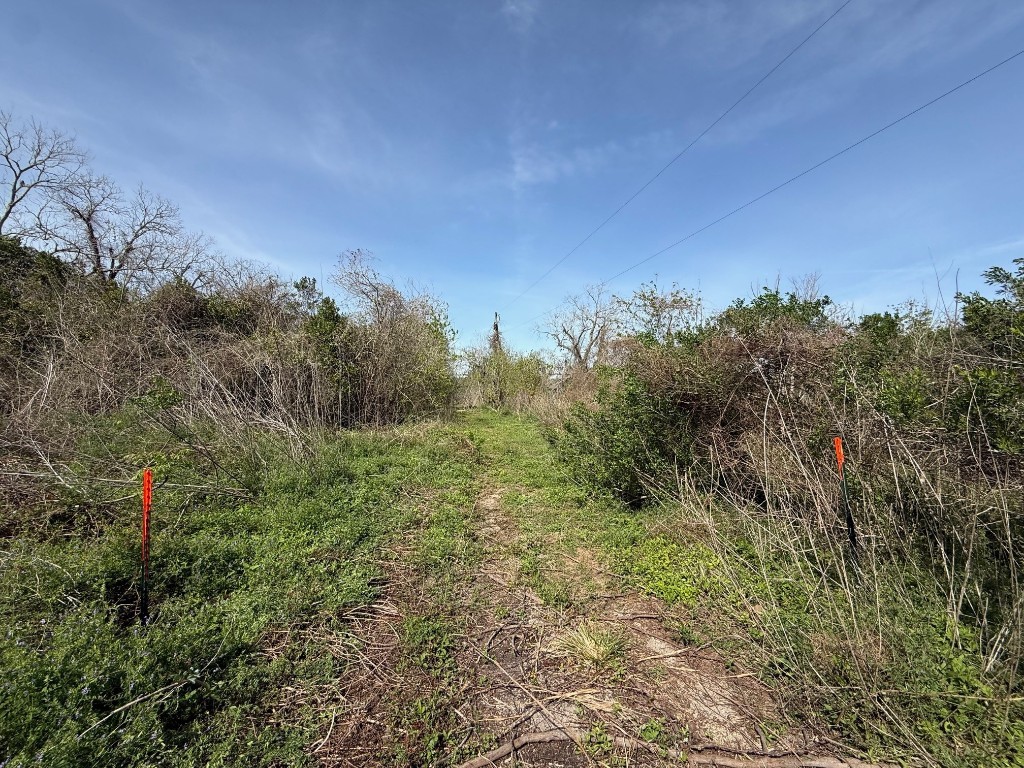 0 County Road 613 Angleton, TX 77515 - Photo 5 of 7 a view of a yard with a tree in the background