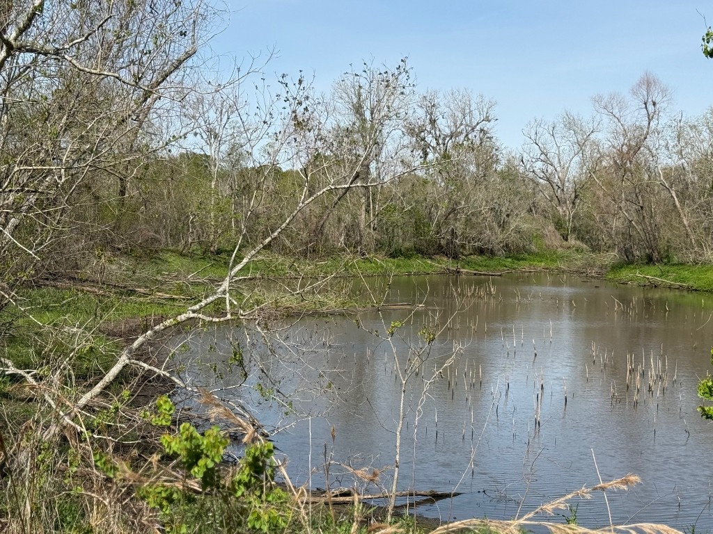0 County Road 613 Angleton, TX 77515 - Photo 6 of 7 a view of a lake with a yard