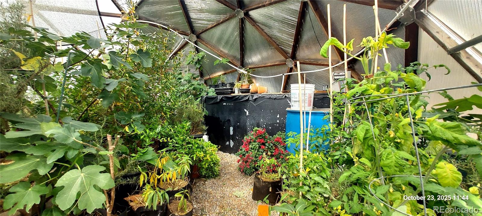 1877 Wilking Road Fort Garland, CO 81133 - Photo 25 of 34