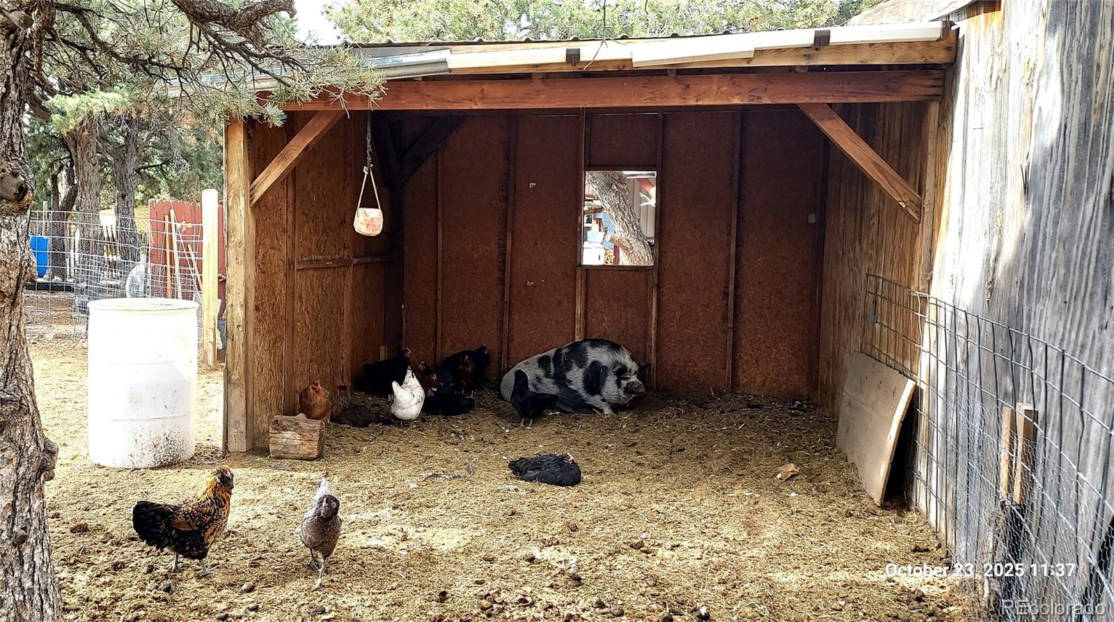 1877 Wilking Road Fort Garland, CO 81133 - Photo 27 of 34