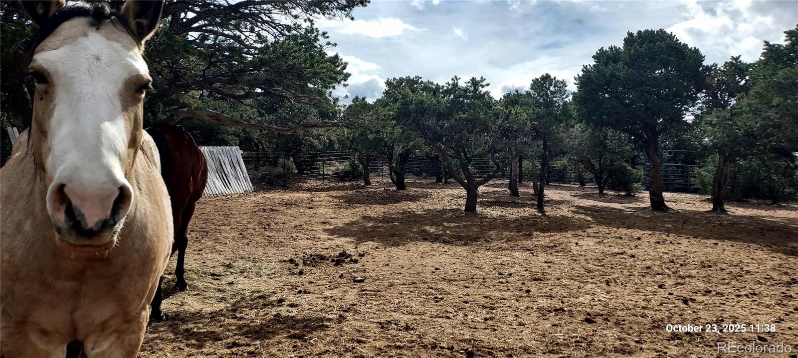 1877 Wilking Road Fort Garland, CO 81133 - Photo 28 of 34