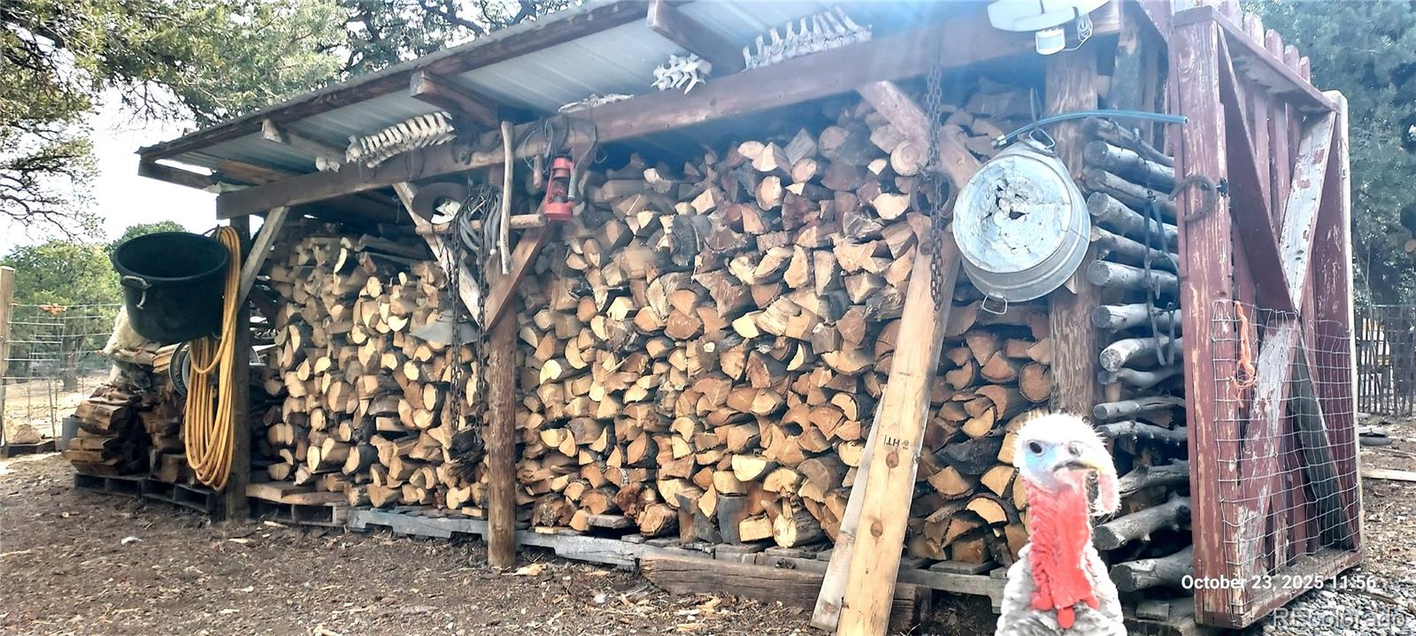 1877 Wilking Road Fort Garland, CO 81133 - Photo 30 of 34