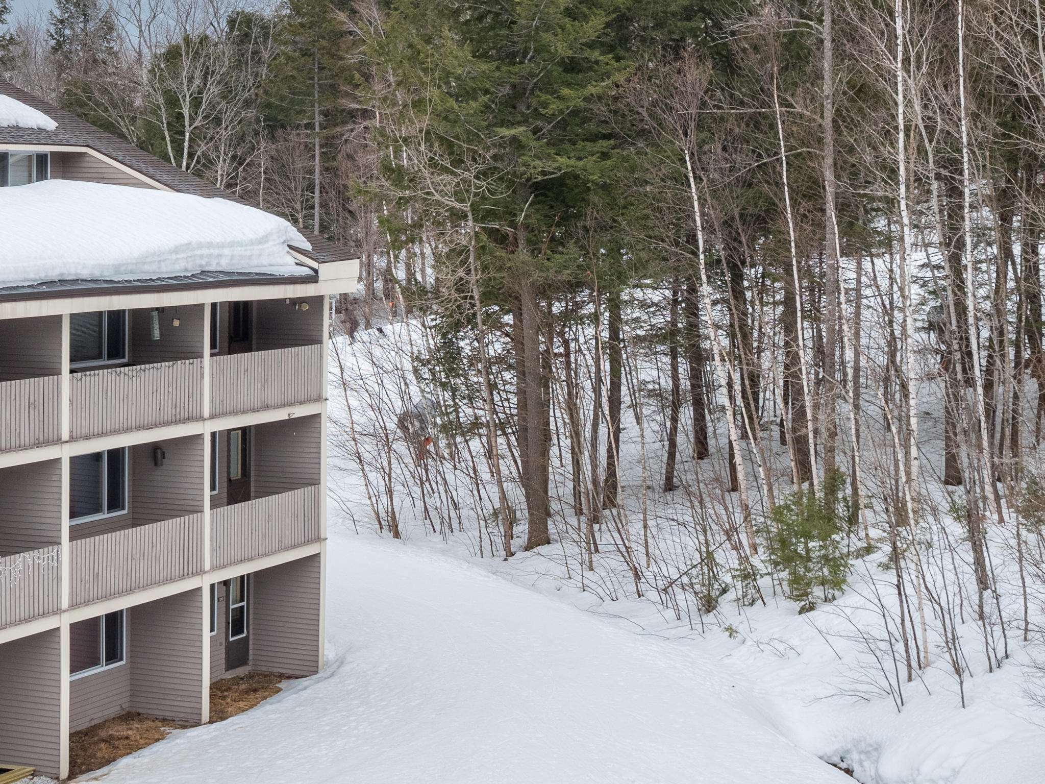 8 Fall Line Drive, Unit W212 Newry, ME 04261 - Photo 15 of 23 Fall Line West Wing Ext Winter 2