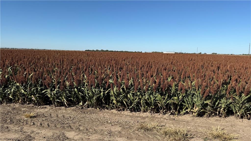Meade County C Road Other, KS 67844 - Photo 1 of 24