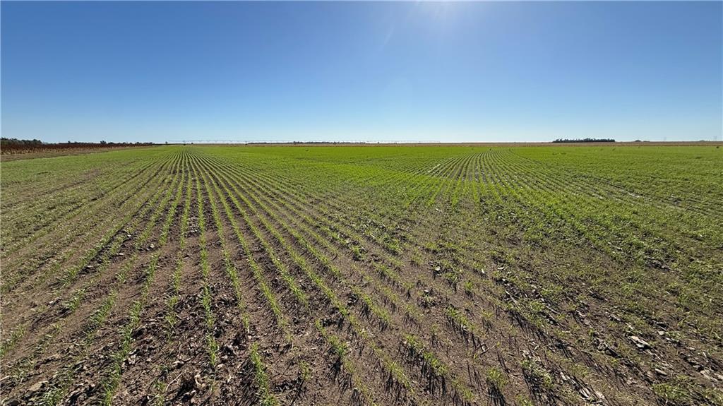 Meade County C Road Other, KS 67844 - Photo 7 of 24
