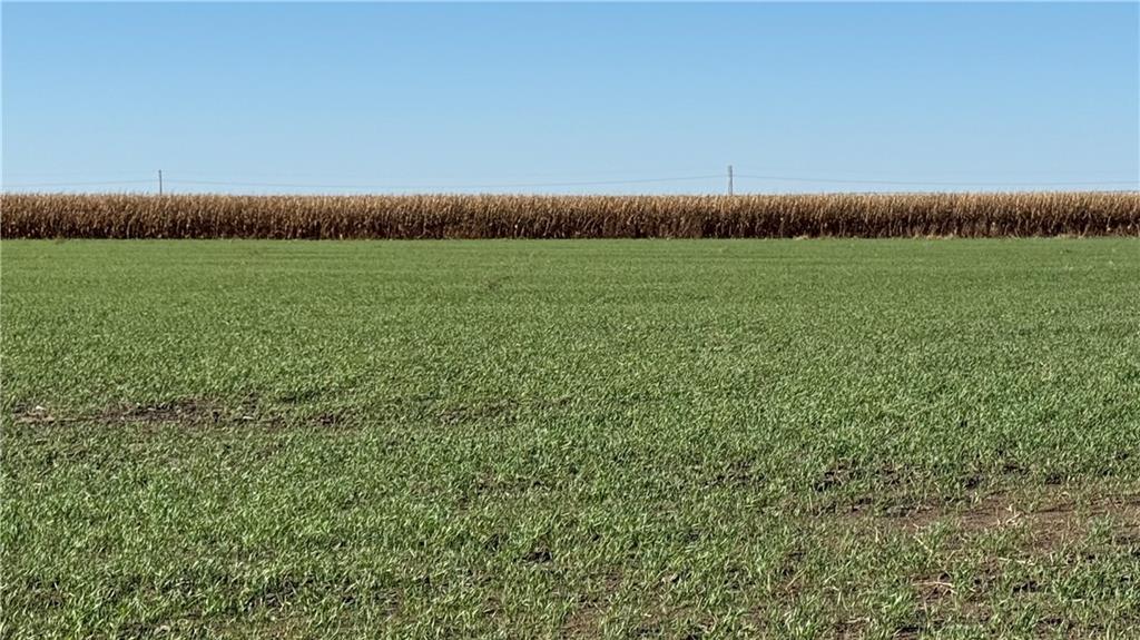 Meade County C Road Other, KS 67844 - Photo 8 of 24