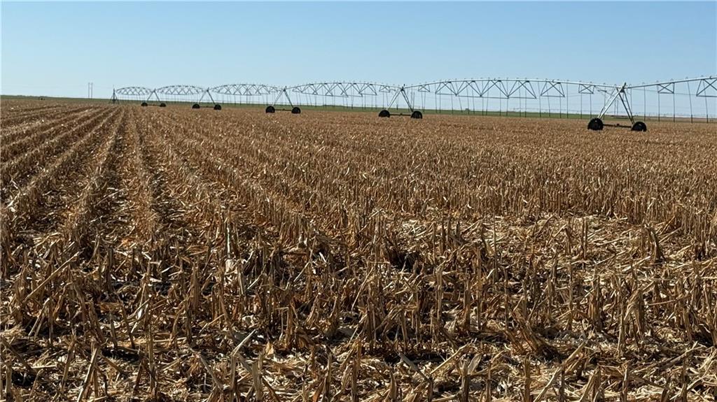 Meade County C Road Other, KS 67844 - Photo 9 of 24