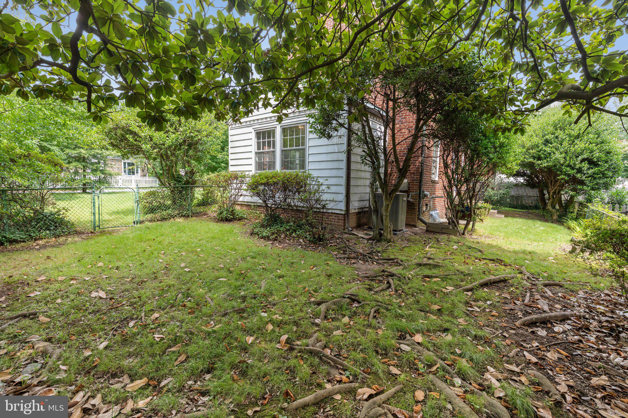 7201 Chestnut Street Chevy Chase, MD 20815 - Photo 23 of 34 Sideyard