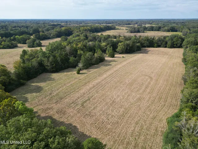 $380,000 | 254 Renfroe Road, Canton, MS 39046