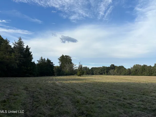 $380,000 | 254 Renfroe Road, Canton, MS 39046