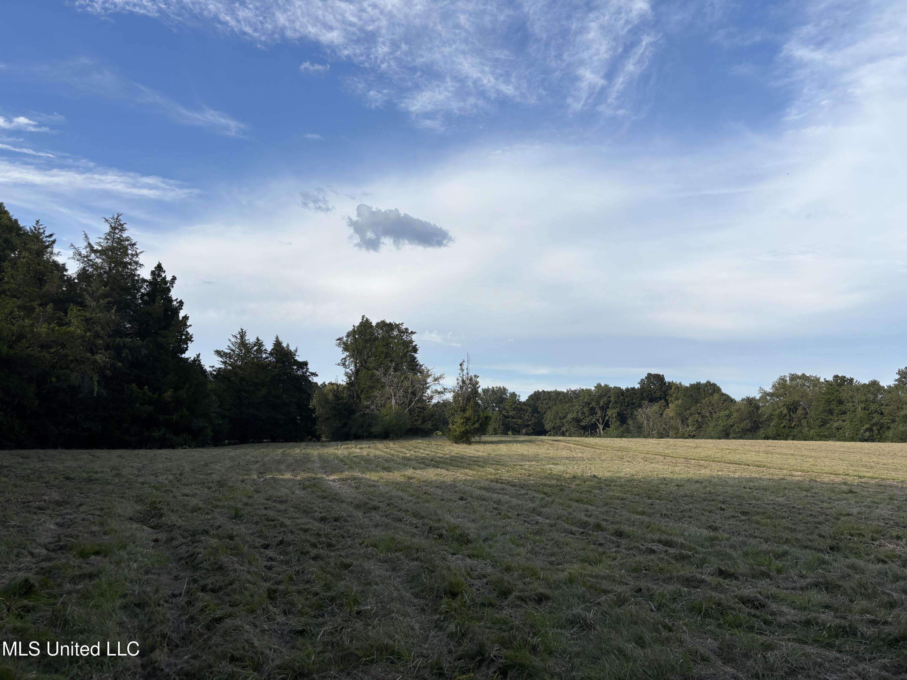 254 Renfroe Road Canton, MS 39046 - Photo 11 of 24 12