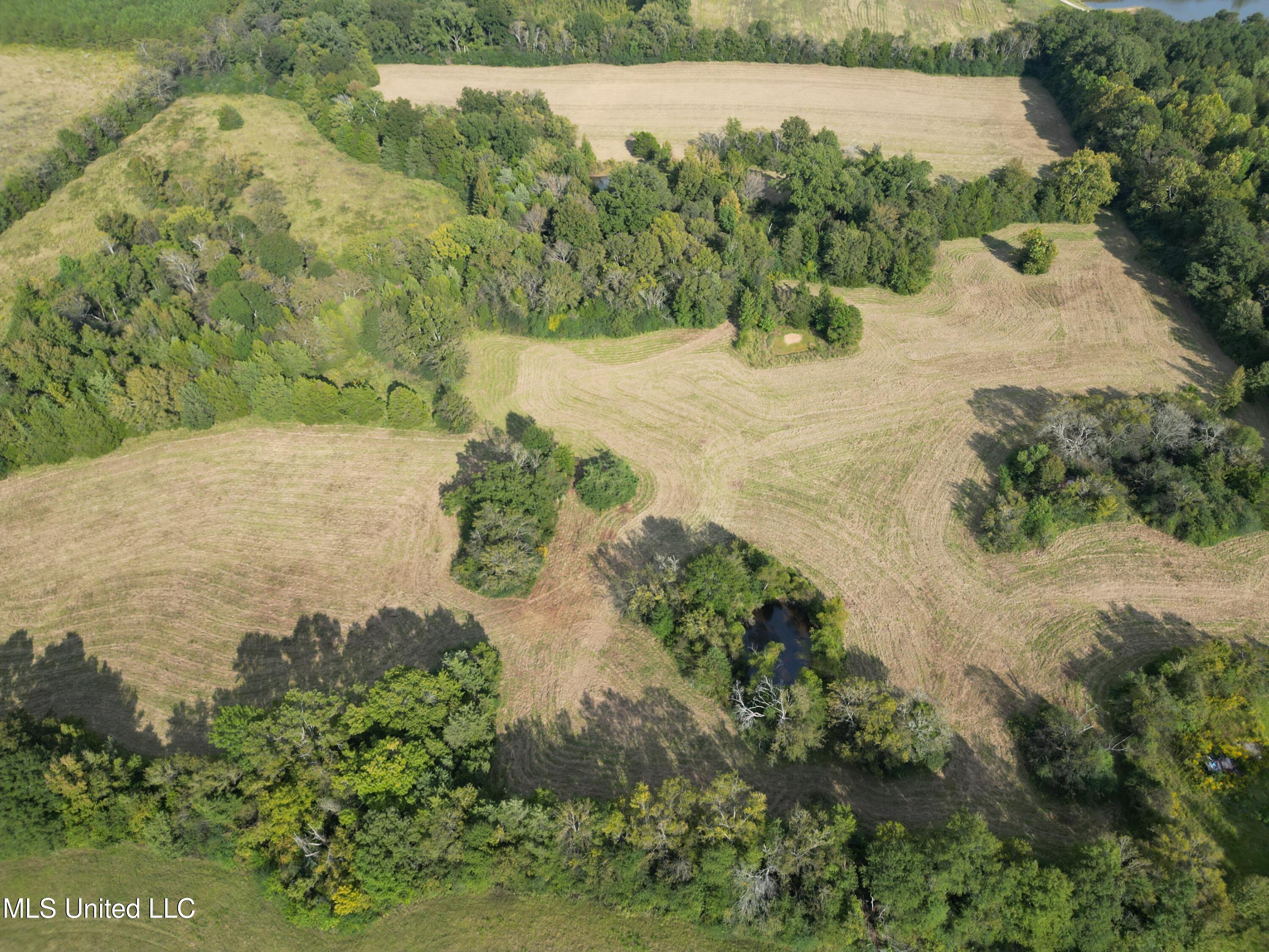 254 Renfroe Road Canton, MS 39046 - Photo 12 of 24 13