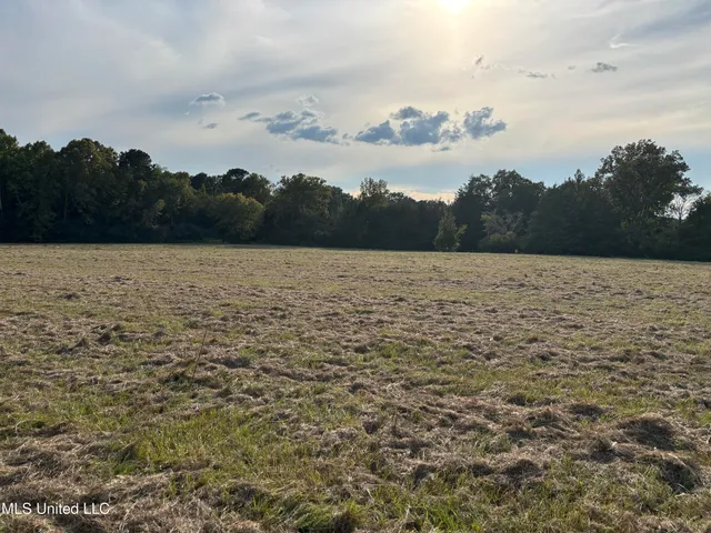 $380,000 | 254 Renfroe Road, Canton, MS 39046