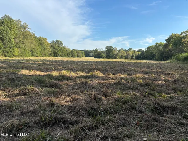 $380,000 | 254 Renfroe Road, Canton, MS 39046