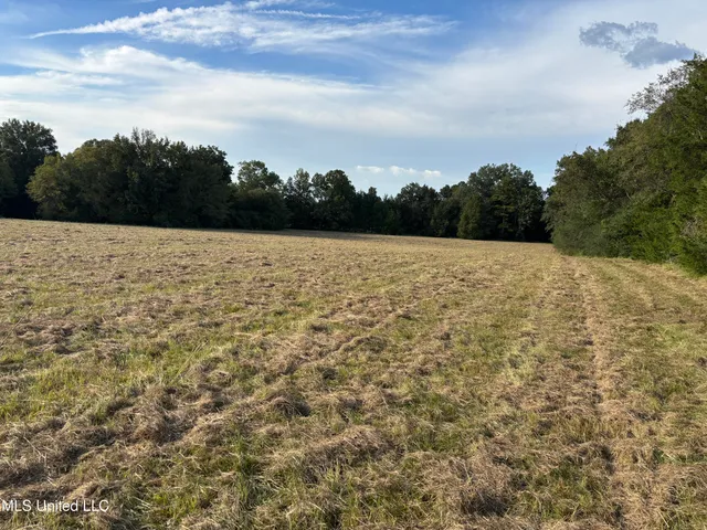 $380,000 | 254 Renfroe Road, Canton, MS 39046
