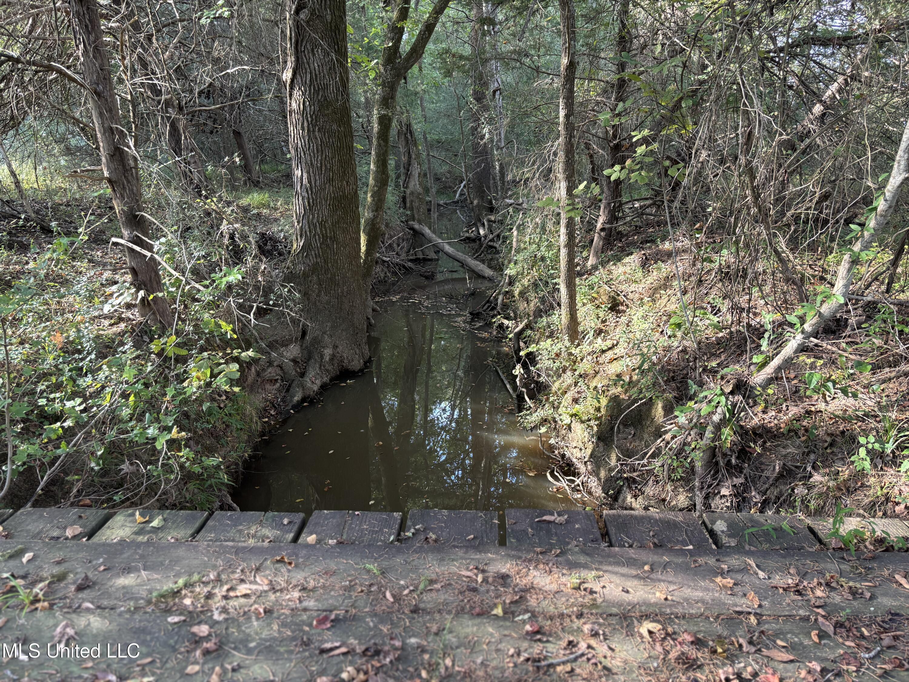 254 Renfroe Road Canton, MS 39046 - Photo 17 of 24 18