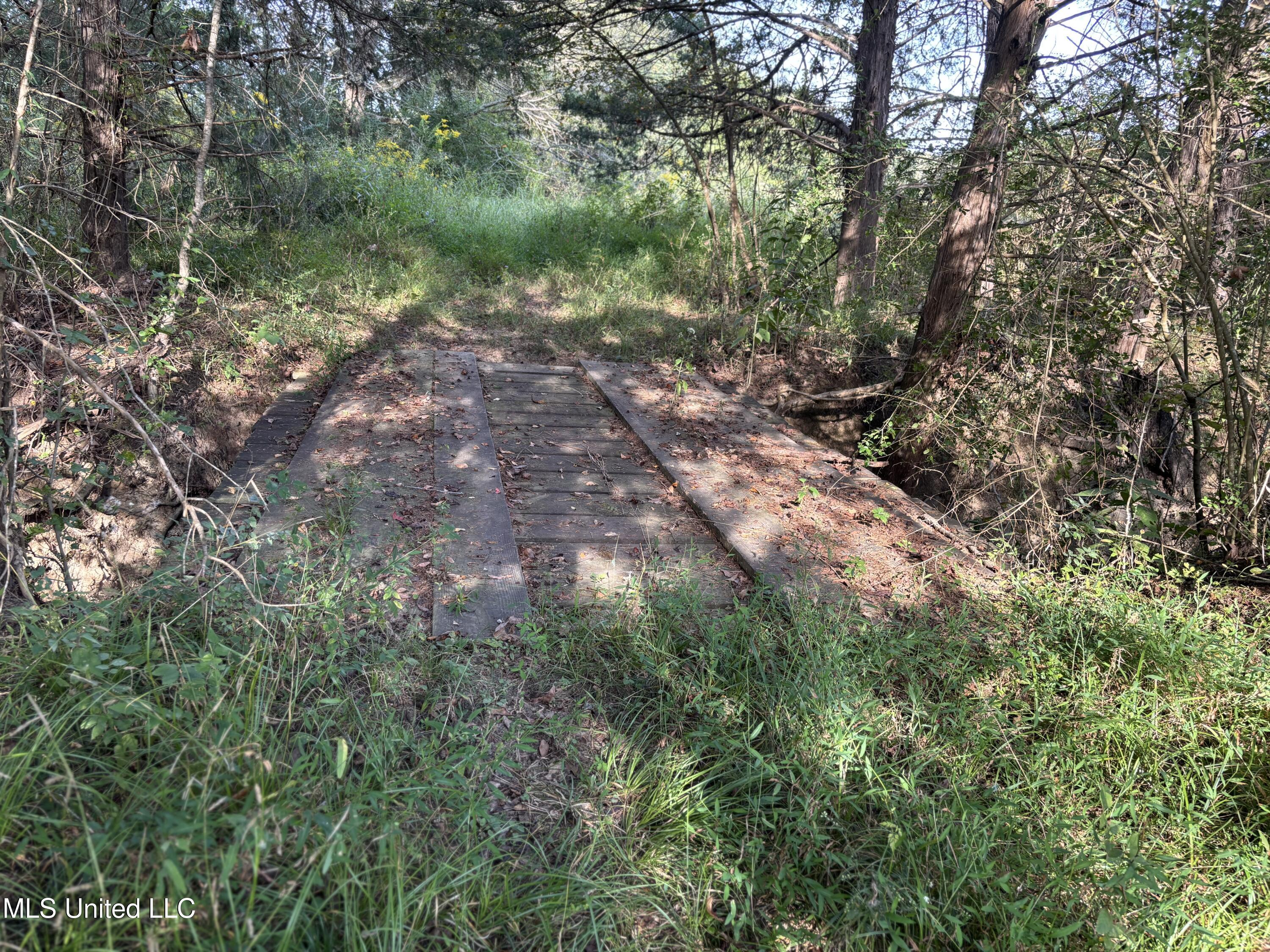 254 Renfroe Road Canton, MS 39046 - Photo 18 of 24 19