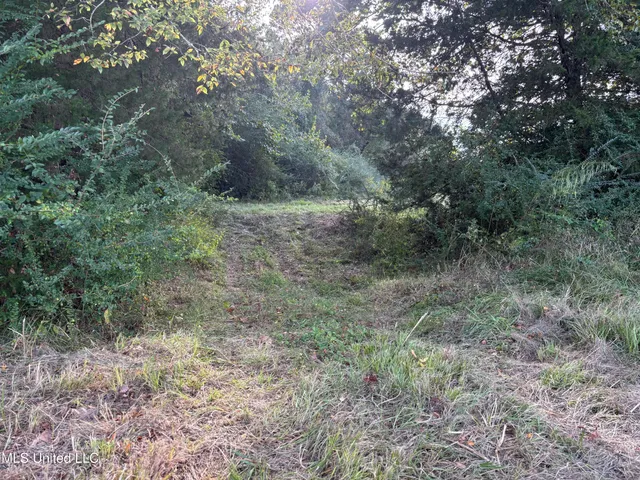 $380,000 | 254 Renfroe Road, Canton, MS 39046