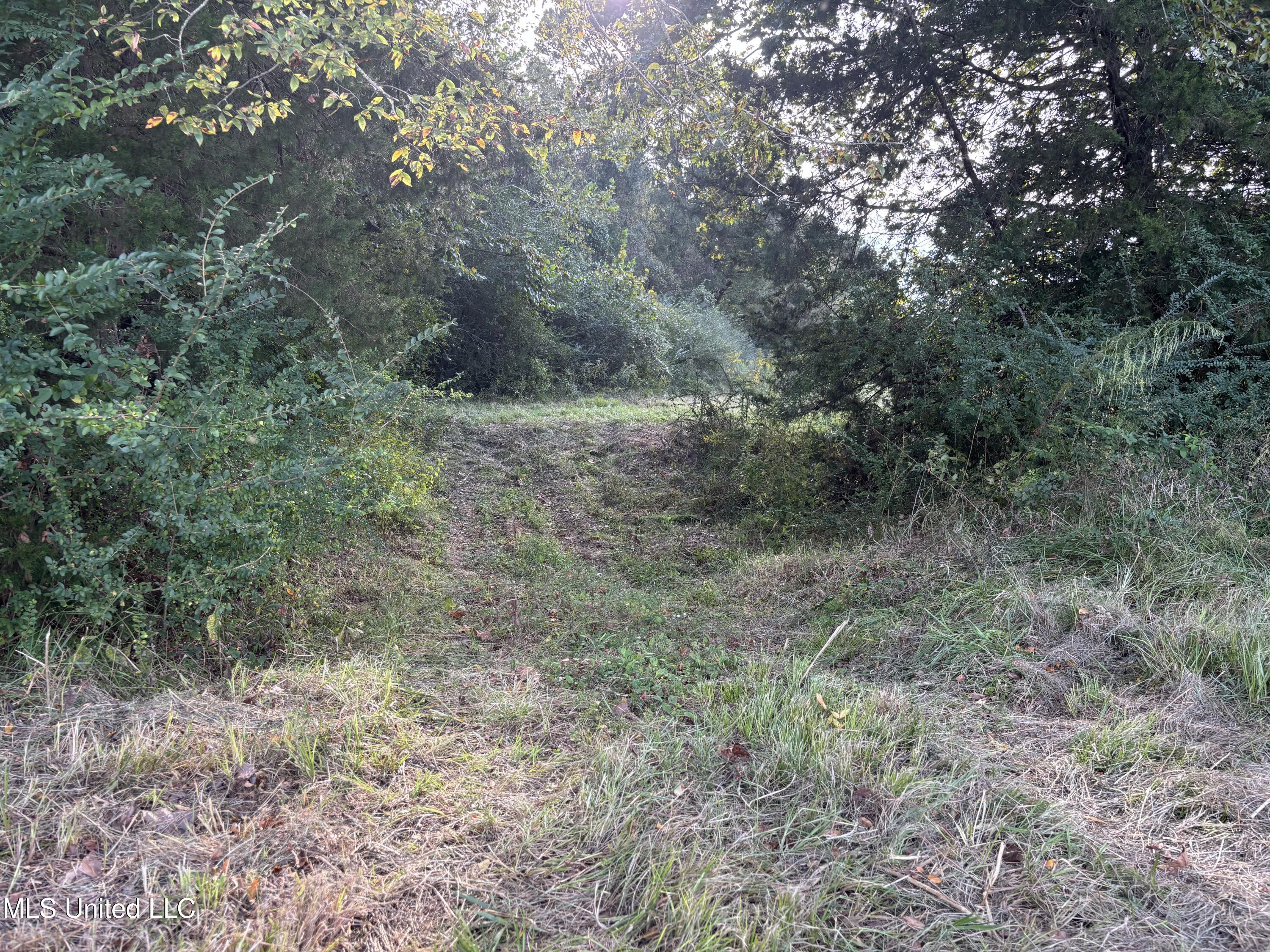 254 Renfroe Road Canton, MS 39046 - Photo 19 of 24 20