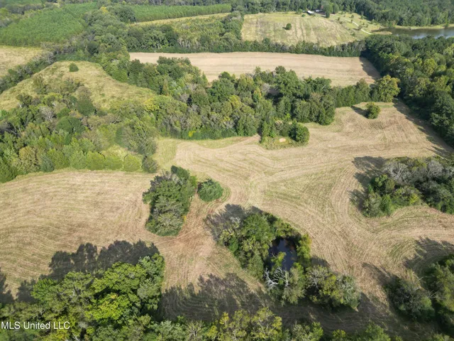 $380,000 | 254 Renfroe Road, Canton, MS 39046