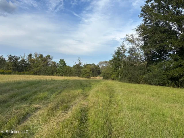 $380,000 | 254 Renfroe Road, Canton, MS 39046