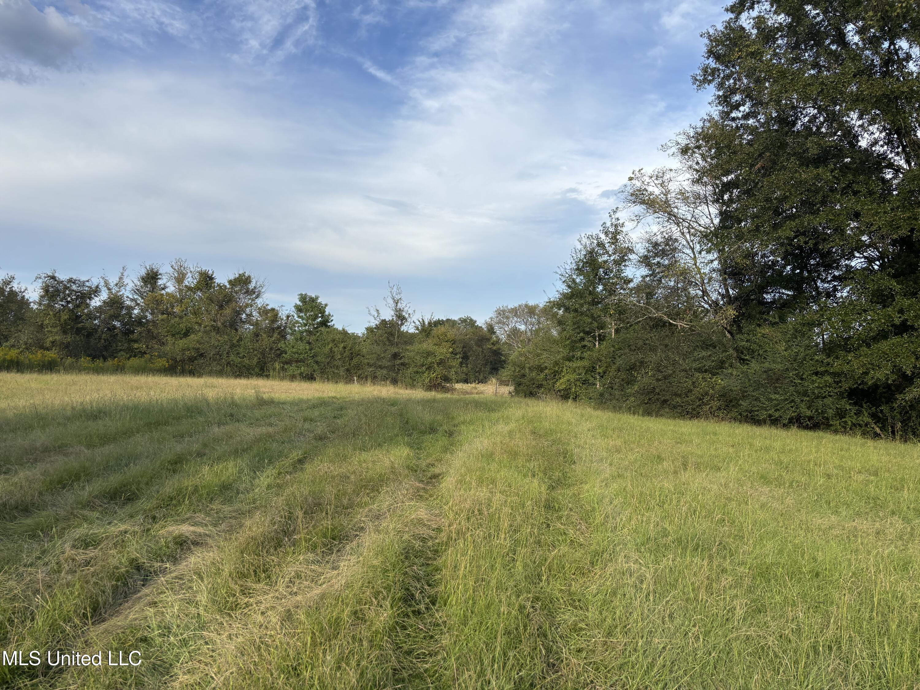 254 Renfroe Road Canton, MS 39046 - Photo 21 of 24 22