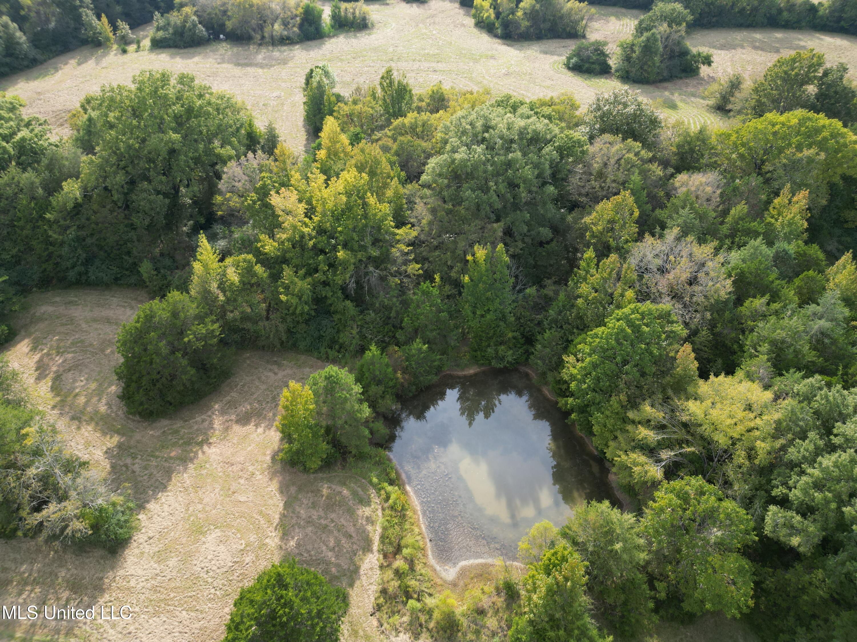 254 Renfroe Road Canton, MS 39046 - Photo 3 of 24 3
