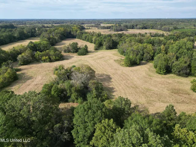 $380,000 | 254 Renfroe Road, Canton, MS 39046