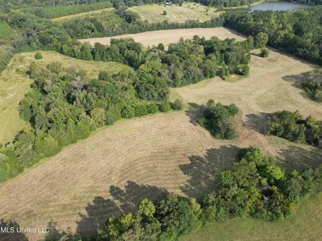 $380,000 | 254 Renfroe Road, Canton, MS 39046