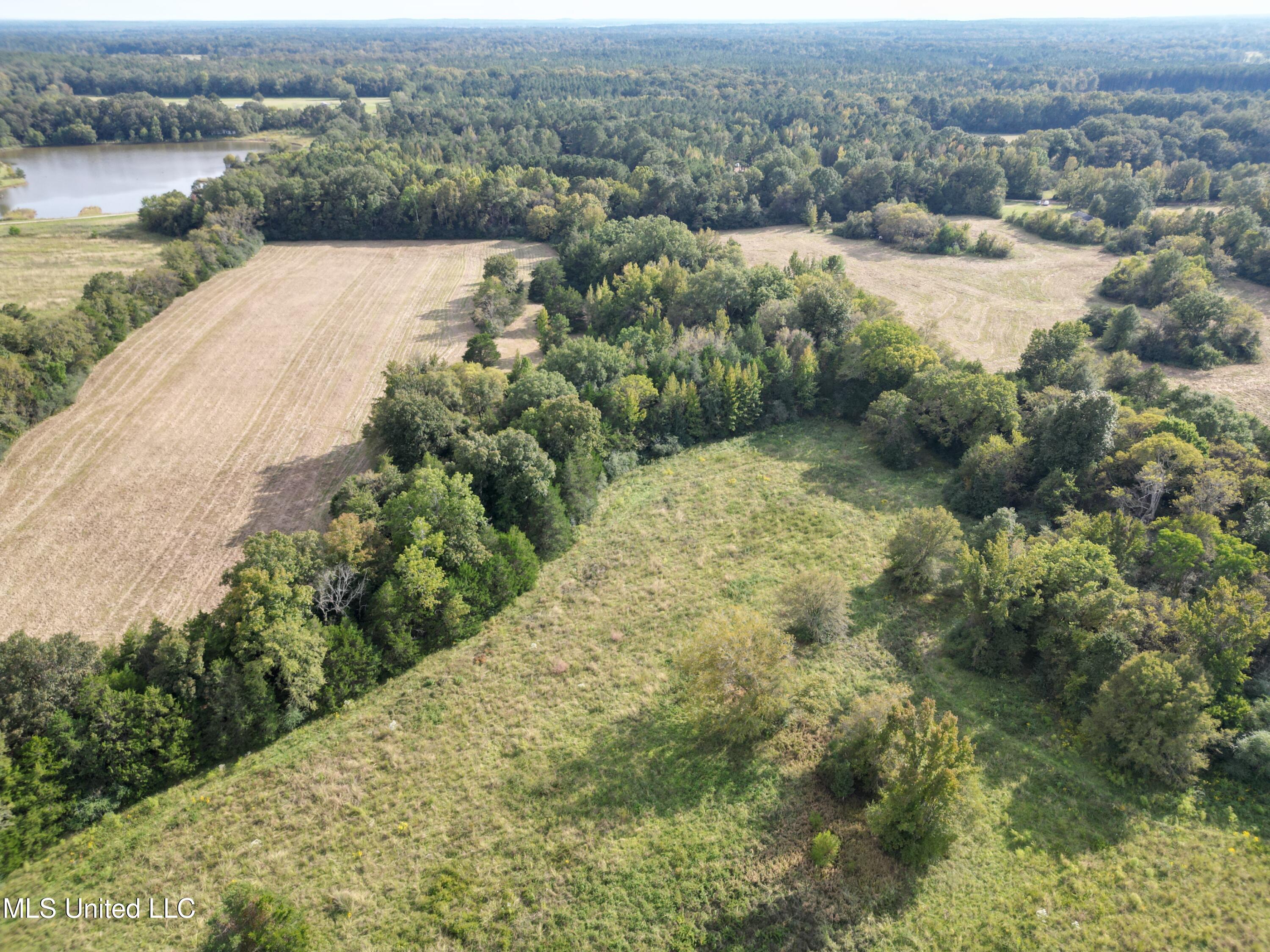 254 Renfroe Road Canton, MS 39046 - Photo 6 of 24 7