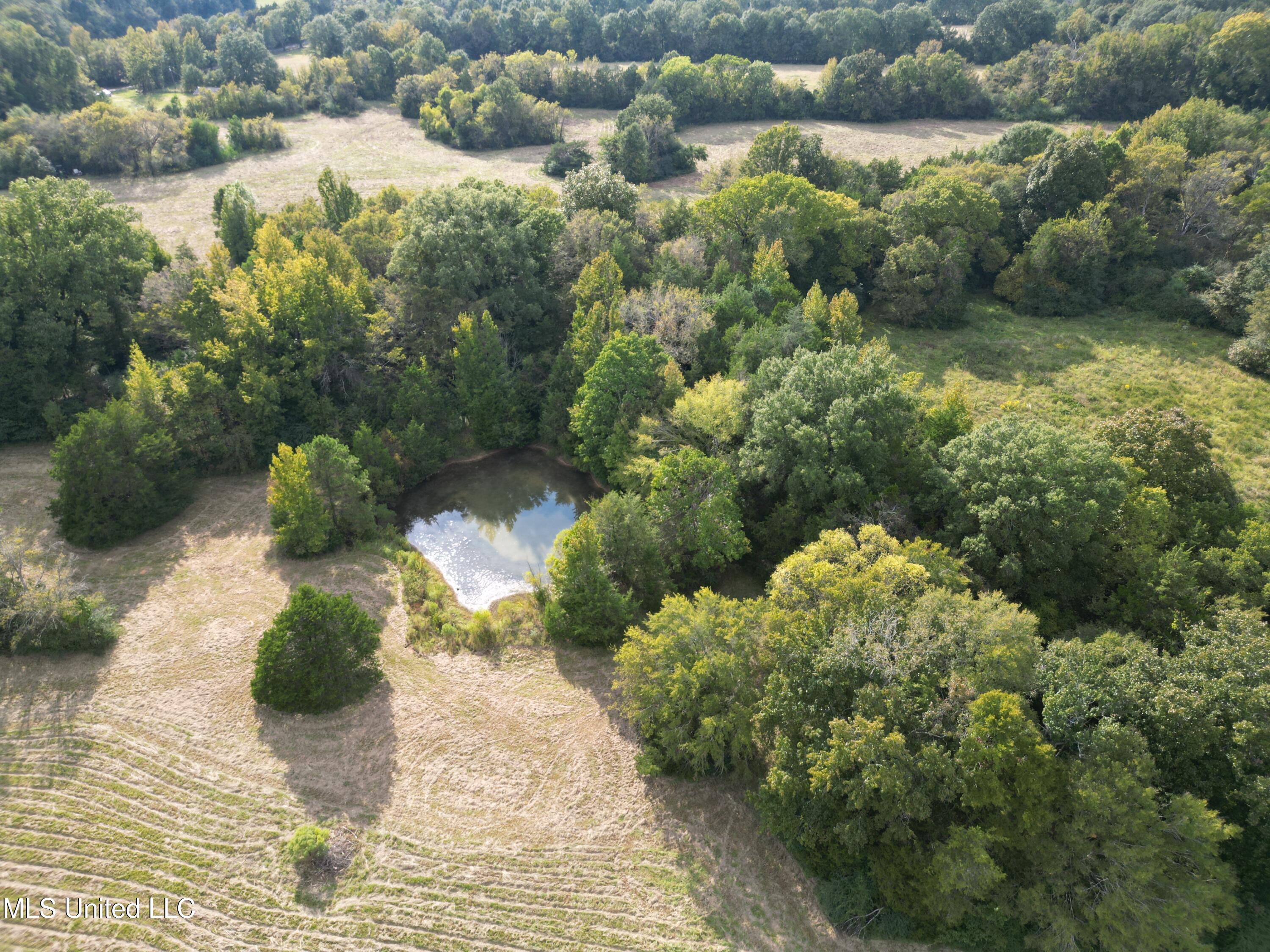 254 Renfroe Road Canton, MS 39046 - Photo 7 of 24 8