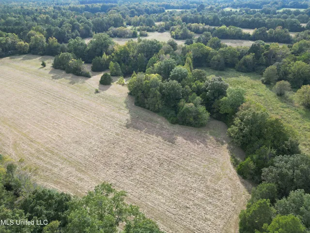 $380,000 | 254 Renfroe Road, Canton, MS 39046