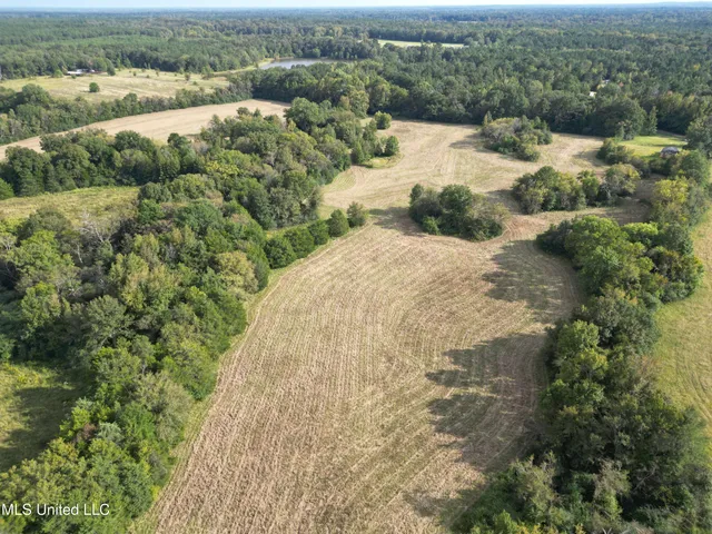 $380,000 | 254 Renfroe Road, Canton, MS 39046